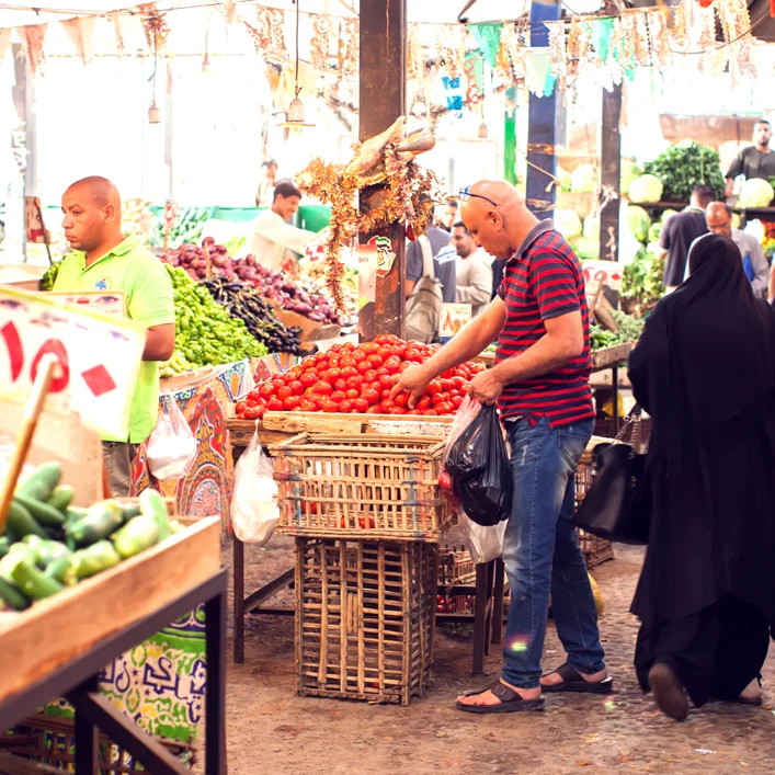 Building and Growing